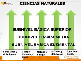 CIENCIAS NATURALES
Seres vivos y
el Ambiente
Cuerpo
Humano y
Salud
Ciencia en
Acción
Materia y
Energía
La Tierra y
el Universo
SUBNIVEL BÁSICA ELEMENTAL
SUBNIVEL BÁSICA MEDIA
SUBNIVEL BÁSICA SUPERIOR
 