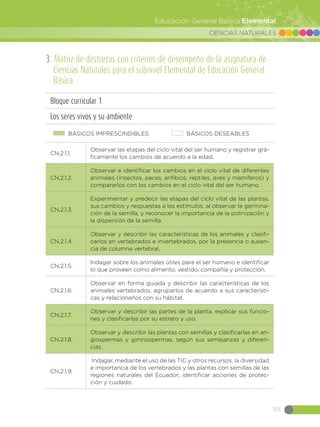 CIENCIAS NATURALES
101
Educación General Básica Elemental
3. Matriz de destrezas con criterios de desempeño de la asignatura de
Ciencias Naturales para el subnivel Elemental de Educación General
Básica
Bloque curricular 1
Los seres vivos y su ambiente
BÁSICOS IMPRESCINDIBLES BÁSICOS DESEABLES
CN.2.1.1.
Observar las etapas del ciclo vital del ser humano y registrar grá-
ficamente los cambios de acuerdo a la edad.
CN.2.1.2.
Observar e identificar los cambios en el ciclo vital de diferentes
animales (insectos, peces, anfibios, reptiles, aves y mamíferos) y
compararlos con los cambios en el ciclo vital del ser humano.
CN.2.1.3.
Experimentar y predecir las etapas del ciclo vital de las plantas,
sus cambios y respuestas a los estímulos, al observar la germina-
ción de la semilla, y reconocer la importancia de la polinización y
la dispersión de la semilla.
CN.2.1.4.
Observar y describir las características de los animales y clasifi-
carlos en vertebrados e invertebrados, por la presencia o ausen-
cia de columna vertebral.
CN.2.1.5.
Indagar sobre los animales útiles para el ser humano e identificar
lo que proveen como alimento, vestido, compañía y protección.
CN.2.1.6.
Observar en forma guiada y describir las características de los
animales vertebrados, agruparlos de acuerdo a sus característi-
cas y relacionarlos con su hábitat.
CN.2.1.7.
Observar y describir las partes de la planta, explicar sus funcio-
nes y clasificarlas por su estrato y uso.
CN.2.1.8.
Observar y describir las plantas con semillas y clasificarlas en an-
giospermas y gimnospermas, según sus semejanzas y diferen-
cias.
CN.2.1.9.
Indagar, mediante el uso de las TIC y otros recursos, la diversidad
e importancia de los vertebrados y las plantas con semillas de las
regiones naturales del Ecuador; identificar acciones de protec-
ción y cuidado.
 