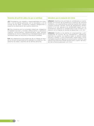CN E 110
Elementos del perfil de salida a los que se contribuye Indicadores para la evaluación del criterio
J.3. Procedemos con respeto y responsabilidad con noso-
tros y con las demás personas, con la naturaleza y con el
mundo de las ideas. Cumplimos nuestras obligaciones y
exigimos la observación de nuestros derechos.
I.2. Nos movemos por la curiosidad intelectual, indagamos
la realidad nacional y mundial, reflexionamos y aplicamos
nuestros conocimientos interdisciplinarios para resolver
problemas en forma colaborativa e interdependiente apro-
vechando todos los recursos e información posibles.
S.4. Nos adaptamos a las exigencias de un trabajo en equi-
po en el que comprendemos la realidad circundante y res-
petamos las ideas y aportes de las demás personas.
I.CN.2.2.1. Clasifica a los animales en vertebrados e inverte-
brados, en función de la presencia o ausencia de columna
vertebral y sus características externas (partes del cuerpo,
cubierta corporal, tamaño, forma de desplazarse, alimen-
tación). A su vez, agrupa a los vertebrados según sus ca-
racterísticas, examina su utilidad para el ser humano y su
relación con el hábitat en donde se desarrollan. (J.3., I.2.)
I.CN.2.2.2. Clasifica a las plantas en angiospermas y gim-
nospermas en función de sus semejanzas y diferencias.
Describe sus partes, las clasifica según su estrato (árbol,
arbusto y hierba), y usos (industriales, medicinales y orna-
mentales).Expone el aporte al conocimiento científico que
realizó el ecuatoriano Misael Acosta Solís, a partir del estu-
dio de la flora ecuatoriana. (J.3., S.4.)
 