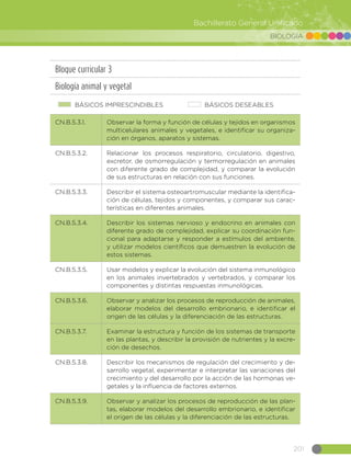 201
Bachillerato General Unificado
BIOLOGÍA
Bloque curricular 3
Biología animal y vegetal
BÁSICOS IMPRESCINDIBLES BÁSICOS DESEABLES
CN.B.5.3.1. Observar la forma y función de células y tejidos en organismos
multicelulares animales y vegetales, e identificar su organiza-
ción en órganos, aparatos y sistemas.
CN.B.5.3.2. Relacionar los procesos respiratorio, circulatorio, digestivo,
excretor, de osmorregulación y termorregulación en animales
con diferente grado de complejidad, y comparar la evolución
de sus estructuras en relación con sus funciones.
CN.B.5.3.3. Describir el sistema osteoartromuscular mediante la identifica-
ción de células, tejidos y componentes, y comparar sus carac-
terísticas en diferentes animales.
CN.B.5.3.4. Describir los sistemas nervioso y endocrino en animales con
diferente grado de complejidad, explicar su coordinación fun-
cional para adaptarse y responder a estímulos del ambiente,
y utilizar modelos científicos que demuestren la evolución de
estos sistemas.
CN.B.5.3.5. Usar modelos y explicar la evolución del sistema inmunológico
en los animales invertebrados y vertebrados, y comparar los
componentes y distintas respuestas inmunológicas.
CN.B.5.3.6. Observar y analizar los procesos de reproducción de animales,
elaborar modelos del desarrollo embrionario, e identificar el
origen de las células y la diferenciación de las estructuras.
CN.B.5.3.7. Examinar la estructura y función de los sistemas de transporte
en las plantas, y describir la provisión de nutrientes y la excre-
ción de desechos.
CN.B.5.3.8. Describir los mecanismos de regulación del crecimiento y de-
sarrollo vegetal, experimentar e interpretar las variaciones del
crecimiento y del desarrollo por la acción de las hormonas ve-
getales y la influencia de factores externos.
CN.B.5.3.9. Observar y analizar los procesos de reproducción de las plan-
tas, elaborar modelos del desarrollo embrionario, e identificar
el origen de las células y la diferenciación de las estructuras.
 