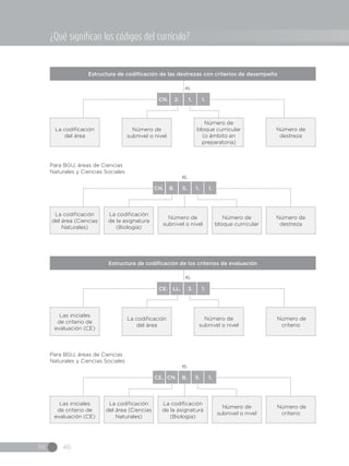 IN 46
Estructura de codificación de las destrezas con criterios de desempeño
Estructura de codificación de los criterios de evaluación
La codificación
del área
Las iniciales
de criterio de
evaluación (CE)
Número de
destreza
Número de
criterio
Número de
subnivel o nivel
La codificación
del área
Número de
bloque curricular
(o ámbito en
preparatoria)
Número de
subnivel o nivel
ej.
ej.
CN. 2. 1. 1.
CE. LL. 3. 1.
La codificación
del área (Ciencias
Naturales)
Las iniciales
de criterio de
evaluación (CE)
Número de
destreza
Número de
criterio
La codificación
de la asignatura
(Biología)
La codificación
del área (Ciencias
Naturales)
Número de
bloque curricular
Número de
subnivel o nivel
Número de
subnivel o nivel
La codificación
de la asignatura
(Biología)
ej.
ej.
CN. B. 5. 1. 1.
CE. CN. B. 5. 1.
Para BGU, áreas de Ciencias
Naturales y Ciencias Sociales
Para BGU, áreas de Ciencias
Naturales y Ciencias Sociales
¿Qué significan los códigos del currículo?
 