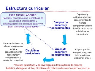 Estructura curricular
     EJES ARTICULADORES:                                               Organizan y
Saberes, conocimientos y prácticas de                              articulan saberes y
     la sociedad, integradores y                                    conocimientos de
                                               Campos de                  manera
dinamizadores del currículo para Vivir
                                                saberes y          complementaria en
    Bien. Vínculo práctica -teoría
                                              conocimientos        función de su uso y
                                                                      utilidad socio-
                                                                       comunitaria


Parte de las áreas en
 el que se organizan
        lógica y                                Áreas de              Al igual que los
  pedagógicamente
                      Disciplinas
                                                saberes y           campos, integran e
     los saberes y
                      curriculares
                                              conocimientos           interrelacionan
   conocimientos a                                                   disciplinas afines
través de contenidos
           Procesos educativos y de investigación desarrollados de manera
   holística, dialógica y cíclica, directamente relacionados con lo que ocurre en la
 