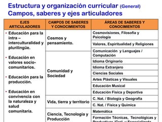 Estructura y organización curricular (General)
 Campos, saberes y ejes articuladores
      EJES            CAMPOS DE SABERES                  ÁREAS DE SABERES Y
 ARTICULADORES         Y CONOCIMIENTOS                     CONOCIMIENTOS
• Educación para la                               Cosmovisiones, Filosofía y
  intra –             Cosmos y                    Psicología
  interculturalidad y pensamiento.                Valores, Espiritualidad y Religiones
  plurilingüe.
                                                  Comunicación y Lenguajes /
                                                  Computación
• Educación en
  valores socio-                                  Idioma Originario
  comunitarios.                                   Idioma Extranjero
                      Comunidad y
                                                  Ciencias Sociales
• Educación para la   Sociedad
                                                  Artes Plásticas y Visuales
  producción.
                                                  Educación Musical
• Educación en                                    Educación Física y Deportiva
  convivencia con                                 C. Nat. / Biología y Geografía
  la naturaleza y     Vida, tierra y territorio
  salud                                           C. Nat. / Física y Química
  comunitaria.                                    Matemática
                      Ciencia, Tecnología y
                      Producción                  Formación Técnicas, Tecnológicas y
 