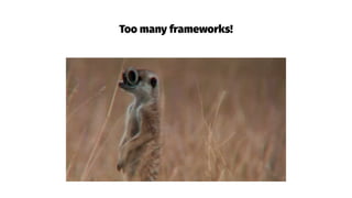 Too many frameworks!
 