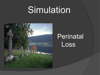 Simulation
Perinatal
Loss
 