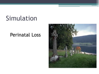 Simulation
Perinatal Loss
 