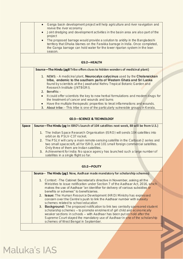 argument type essay vegetarian diet