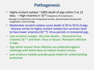 Current approaches for African swine fever virus vaccine development