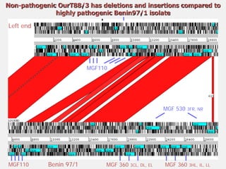 Current approaches for African swine fever virus vaccine development