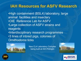 Current approaches for African swine fever virus vaccine development