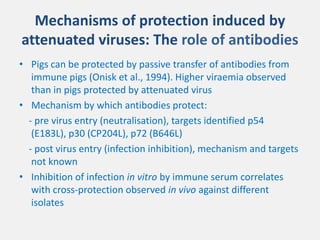 Current approaches for African swine fever virus vaccine development