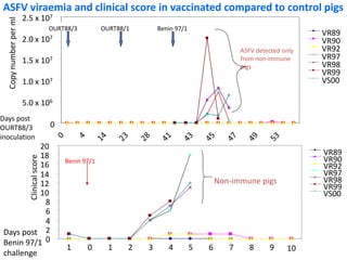 Current approaches for African swine fever virus vaccine development