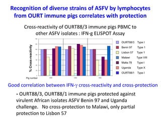 Current approaches for African swine fever virus vaccine development