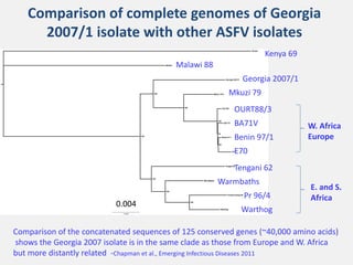 Current approaches for African swine fever virus vaccine development
