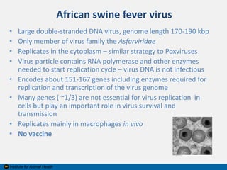 Current approaches for African swine fever virus vaccine development