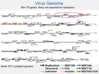Current approaches for African swine fever virus vaccine development