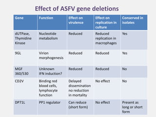 Current approaches for African swine fever virus vaccine development