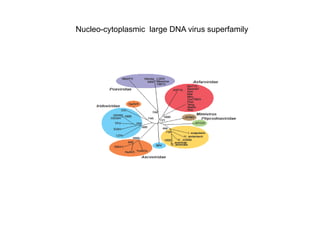 Current approaches for African swine fever virus vaccine development