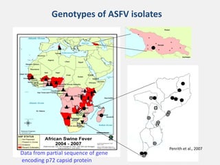 Current approaches for African swine fever virus vaccine development