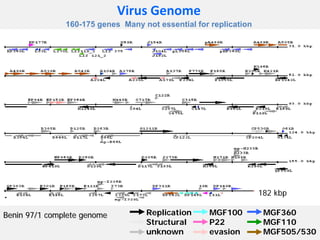 Current approaches for African swine fever virus vaccine development
