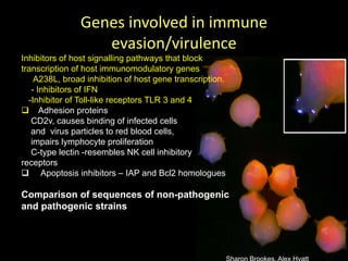 Current approaches for African swine fever virus vaccine development