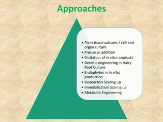 Current approaches toward production of secondary plant metabolites | PPTX
