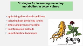 Current approaches toward production of secondary plant metabolites | PPTX