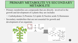 Current approaches toward production of secondary plant metabolites | PPTX