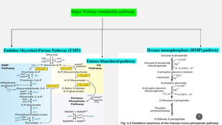 Current approaches toward production of secondary plant metabolites | PPTX