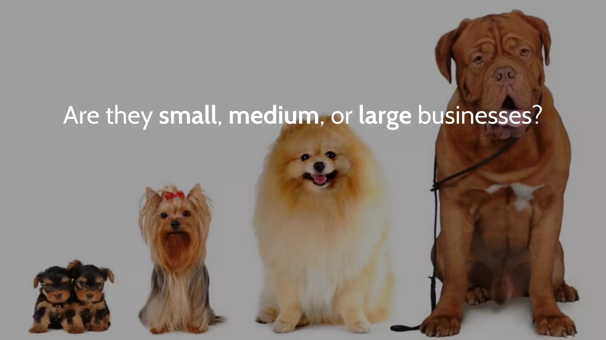 Are they small, medium, or large businesses?
 
