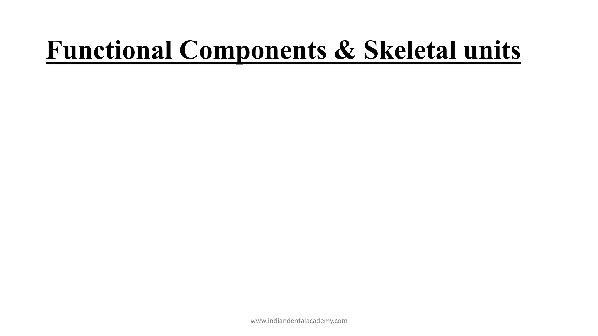 Functional Components & Skeletal units
www.indiandentalacademy.com
 