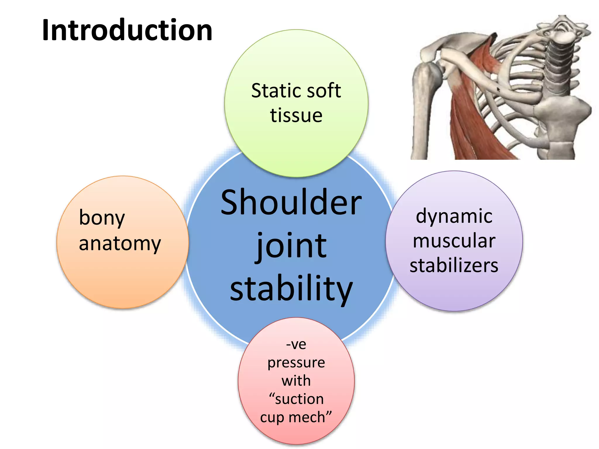 Introduction
Shoulder
joint
stability
Static soft
tissue
dynamic
muscular
stabilizers
-ve
pressure
with
“suction
cup mech”
bony
anatomy
 