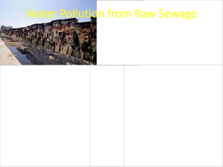 Water Pollution from Raw Sewage
 