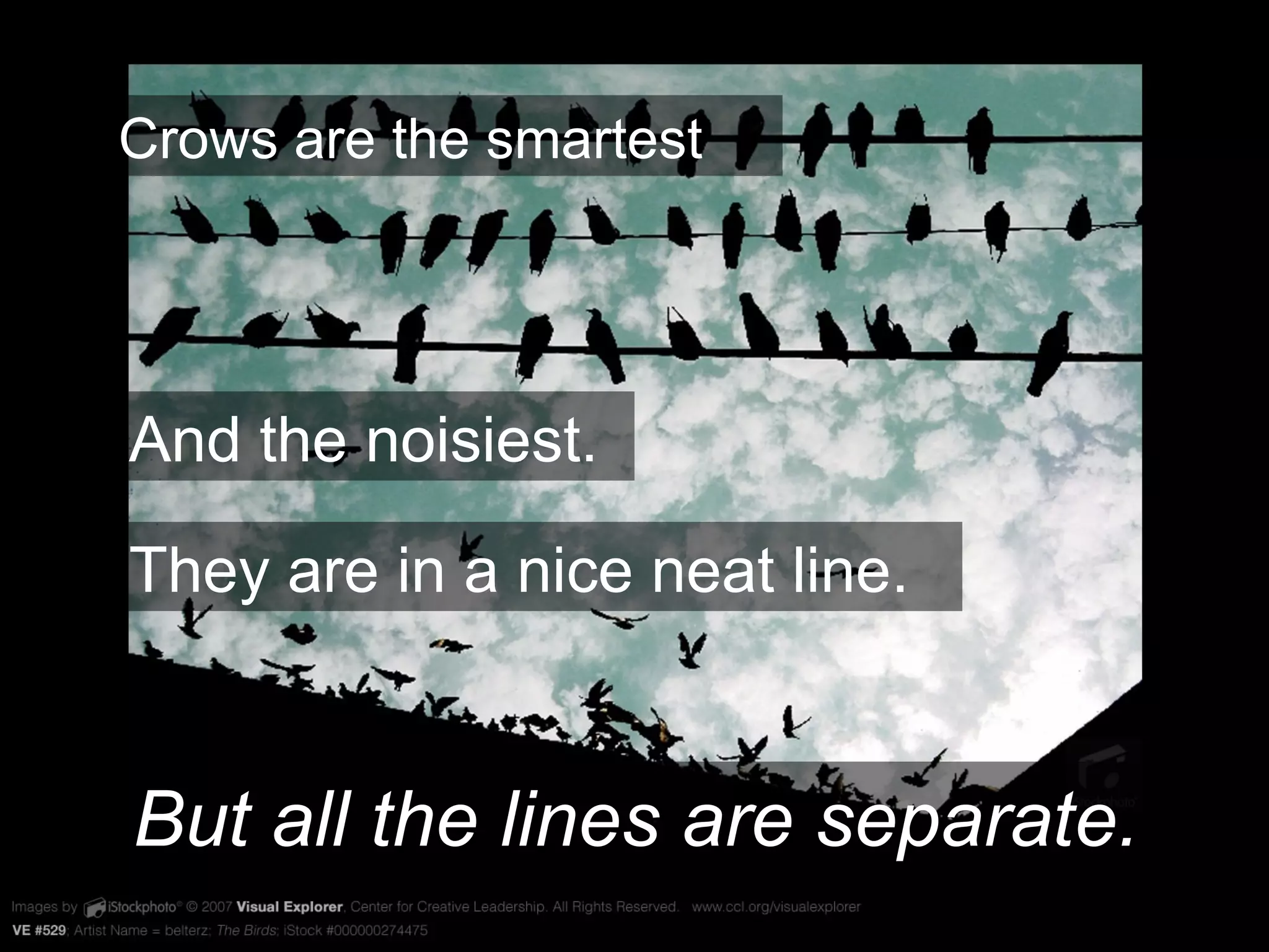 VE #529 Crows are the smartest And the noisiest. They are in a nice neat line. But all the lines are separate. 