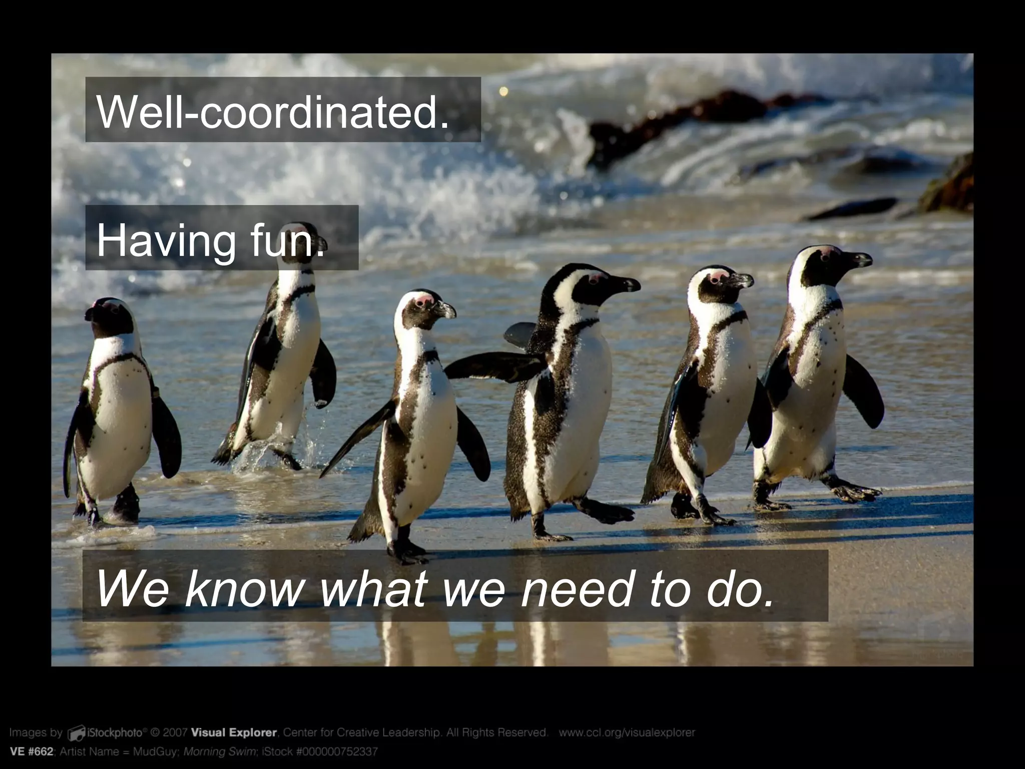 VE #662 Well-coordinated. Having fun. We know what we need to do.  