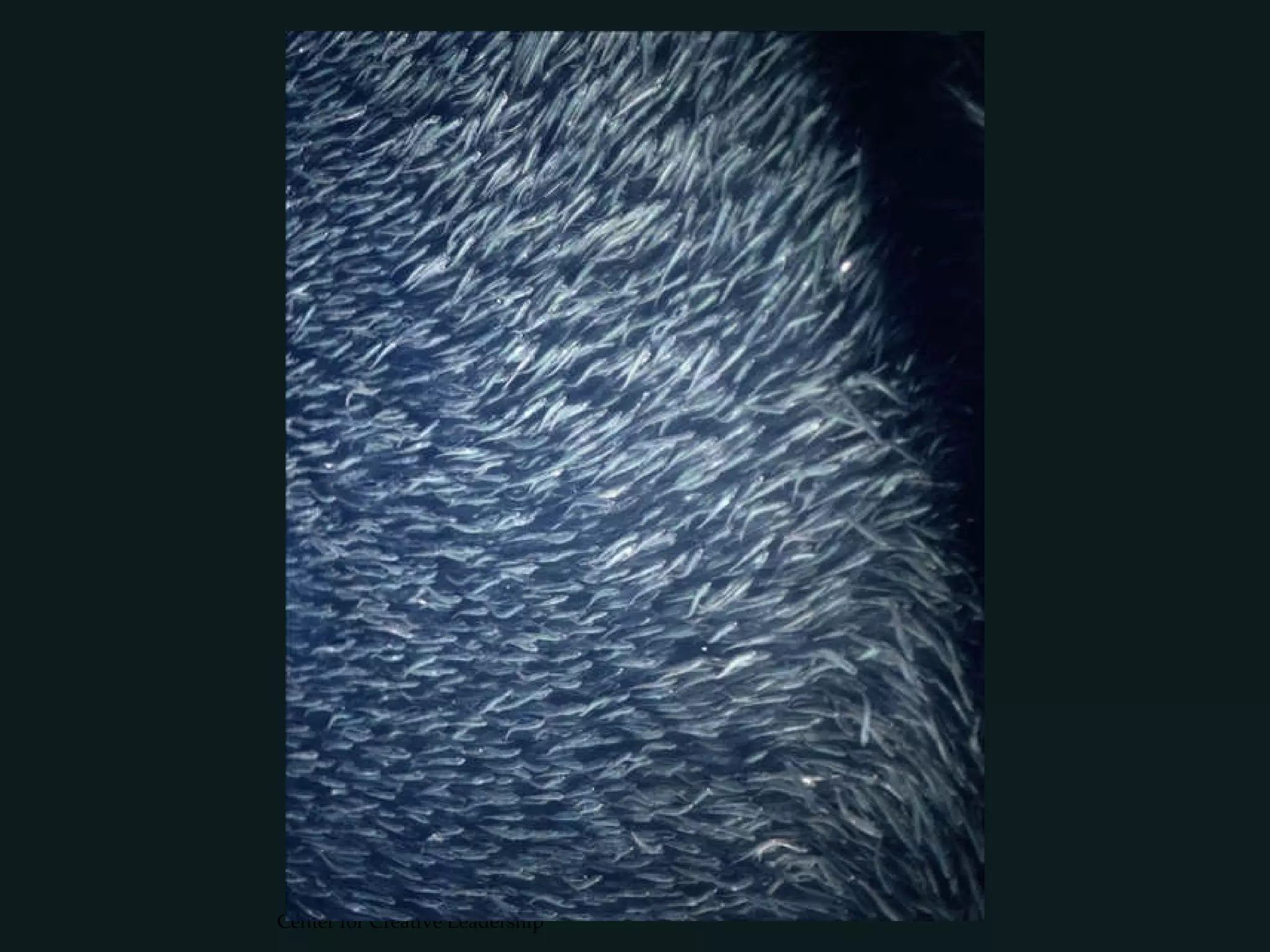 Center for Creative Leadership 