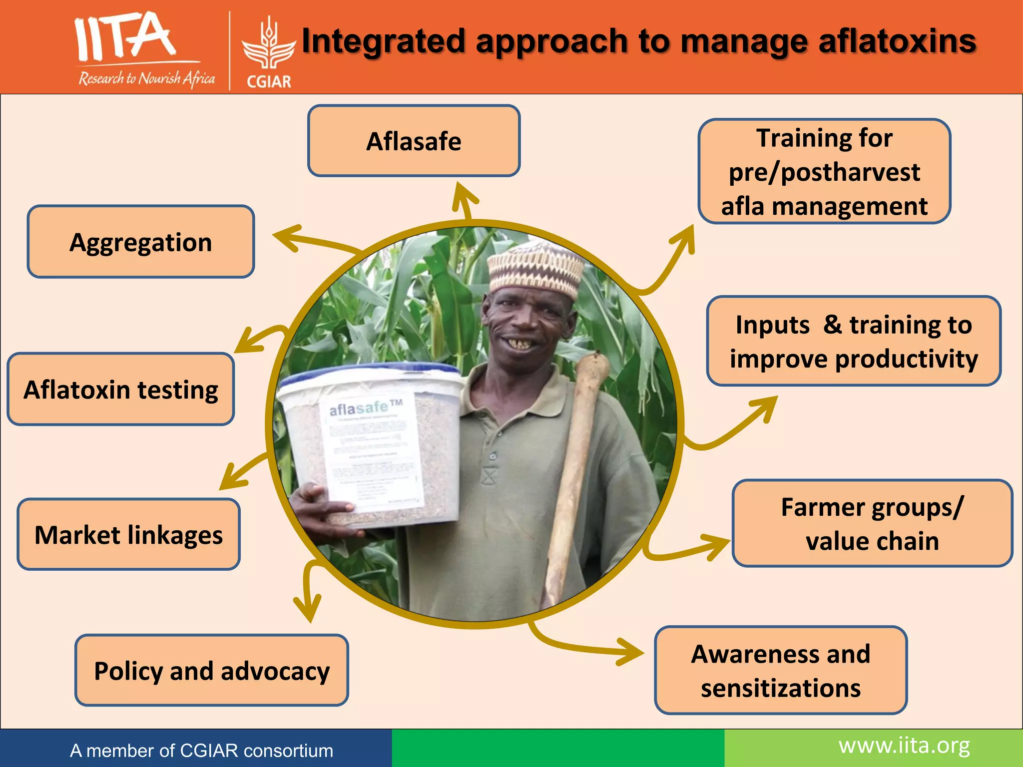 www.iita.orgA member of CGIAR consortium
Integrated approach to manage aflatoxins
Aggregation
Aflasafe
Inputs & training to
improve productivity
Farmer groups/
value chain
Training for
pre/postharvest
afla management
Awareness and
sensitizations
Policy and advocacy
Market linkages
Aflatoxin testing
 