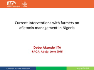 www.iita.orgA member of CGIAR consortium
Current Interventions with farmers on
aflatoxin management in Nigeria
Debo Akande IITA
PACA, Abuja June 2015
 