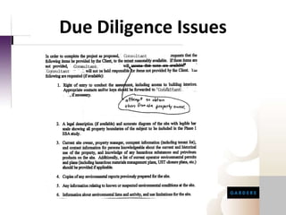Due Diligence Issues 