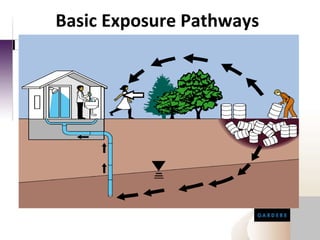 Basic Exposure Pathways 