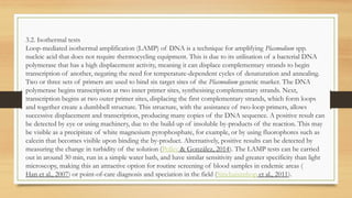 3.2. Isothermal tests
Loop-mediated isothermal amplification (LAMP) of DNA is a technique for amplifying Plasmodium spp.
nucleic acid that does not require thermocycling equipment. This is due to its utilisation of a bacterial DNA
polymerase that has a high displacement activity, meaning it can displace complementary strands to begin
transcription of another, negating the need for temperature-dependent cycles of denaturation and annealing.
Two or three sets of primers are used to bind six target sites of the Plasmodium genetic marker. The DNA
polymerase begins transcription at two inner primer sites, synthesising complementary strands. Next,
transcription begins at two outer primer sites, displacing the first complementary strands, which form loops
and together create a dumbbell structure. This structure, with the assistance of two-loop primers, allows
successive displacement and transcription, producing many copies of the DNA sequence. A positive result can
be detected by eye or using machinery, due to the build-up of insoluble by-products of the reaction. This may
be visible as a precipitate of white magnesium pyrophosphate, for example, or by using fluorophores such as
calcein that becomes visible upon binding the by-product. Alternatively, positive results can be detected by
measuring the change in turbidity of the solution (Polley & González, 2014). The LAMP tests can be carried
out in around 30 min, run in a simple water bath, and have similar sensitivity and greater specificity than light
microscopy, making this an attractive option for routine screening of blood samples in endemic areas (
Han et al., 2007) or point-of-care diagnosis and speciation in the field (Sirichaisinthop et al., 2011).
 