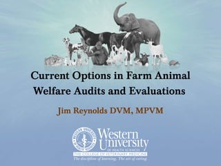 Current Options in Farm Animal Welfare Audits and Evaluations Jim Reynolds DVM, MPVM 