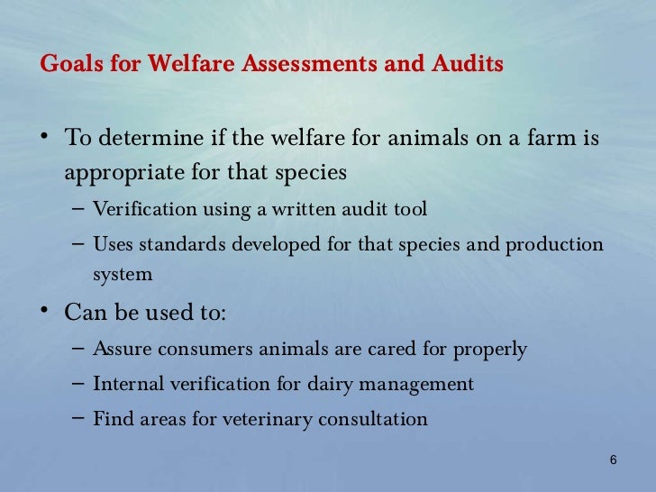 Current Options in Farm Animal Welfare Audits Jim Reynolds