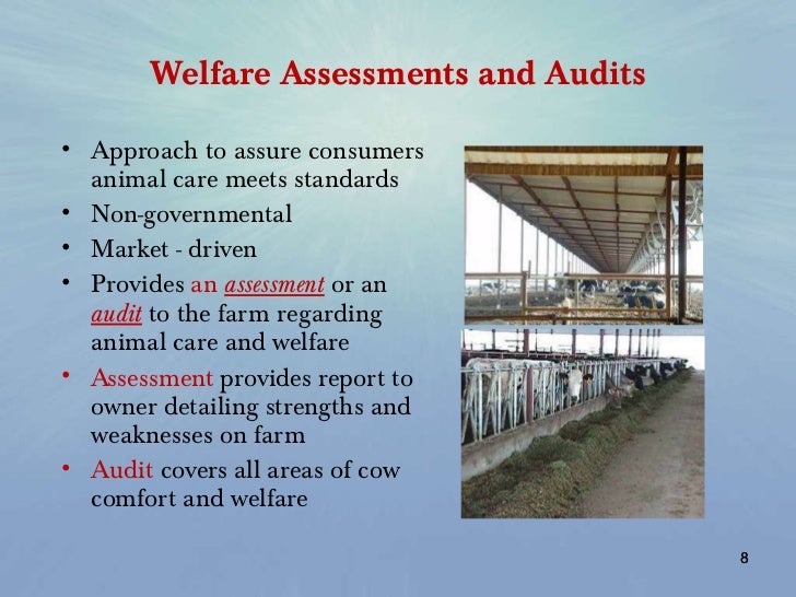 Current Options in Farm Animal Welfare Audits Jim Reynolds