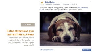 Fotos atractivas que
transmitan su causa
Experiment with where you’re
putting links; in the caption vs.
the comments – see which gets
more reach!
F O T O S
 
