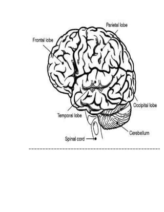Current perspective in psychology 