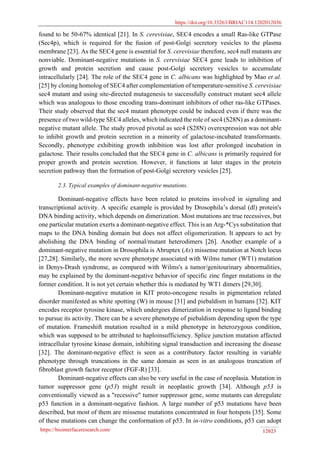 https://doi.org/10.33263/BRIAC114.1202012036
https://biointerfaceresearch.com/ 12023
found to be 50-67% identical [21]. In S. cerevisiae, SEC4 encodes a small Ras-like GTPase
(Sec4p), which is required for the fusion of post-Golgi secretory vesicles to the plasma
membrane [23]. As the SEC4 gene is essential for S. cerevisiae therefore, sec4 null mutants are
nonviable. Dominant-negative mutations in S. cerevisiae SEC4 gene leads to inhibition of
growth and protein secretion and cause post-Golgi secretory vesicles to accumulate
intracellularly [24]. The role of the SEC4 gene in C. albicans was highlighted by Mao et al.
[25] by cloning homolog of SEC4 after complementation of temperature-sensitive S. cerevisiae
sec4 mutant and using site-directed mutagenesis to successfully construct mutant sec4 allele
which was analogous to those encoding trans-dominant inhibitors of other ras-like GTPases.
Their study observed that the sec4 mutant phenotype could be induced even if there was the
presence of two wild-type SEC4 alleles, which indicated the role of sec4 (S28N) as a dominant-
negative mutant allele. The study proved pivotal as sec4 (S28N) overexpression was not able
to inhibit growth and protein secretion in a minority of galactose-incubated transformants.
Secondly, phenotype exhibiting growth inhibition was lost after prolonged incubation in
galactose. Their results concluded that the SEC4 gene in C. albicans is primarily required for
proper growth and protein secretion. However, it functions at later stages in the protein
secretion pathway than the formation of post-Golgi secretory vesicles [25].
2.3. Typical examples of dominant-negative mutations.
Dominant-negative effects have been related to proteins involved in signaling and
transcriptional activity. A specific example is provided by Drosophila’s dorsal (dl) protein's
DNA binding activity, which depends on dimerization. Most mutations are true recessives, but
one particular mutation exerts a dominant-negative effect. This is an Arg-*Cys substitution that
maps to the DNA binding domain but does not affect oligomerization. It appears to act by
abolishing the DNA binding of normal/mutant heterodimers [26]. Another example of a
dominant-negative mutation in Drosophila is Abruptex (Ax) missense mutation at Notch locus
[27,28]. Similarly, the more severe phenotype associated with Wilms tumor (WT1) mutation
in Denys-Drash syndrome, as compared with Wilms's a tumor/genitourinary abnormalities,
may be explained by the dominant-negative behavior of specific zinc finger mutations in the
former condition. It is not yet certain whether this is mediated by WT1 dimers [29,30].
Dominant-negative mutation in KIT proto-oncogene results in pigmentation related
disorder manifested as white spotting (W) in mouse [31] and piebaldism in humans [32]. KIT
encodes receptor tyrosine kinase, which undergoes dimerization in response to ligand binding
to pursue its activity. There can be a severe phenotype of piebaldism depending upon the type
of mutation. Frameshift mutation resulted in a mild phenotype in heterozygous condition,
which was supposed to be attributed to haploinsufficiency. Splice junction mutation affected
intracellular tyrosine kinase domain, inhibiting signal transduction and increasing the disease
[32]. The dominant-negative effect is seen as a contributory factor resulting in variable
phenotype through truncations in the same domain as seen in an analogous truncation of
fibroblast growth factor receptor (FGF-R) [33].
Dominant-negative effects can also be very useful in the case of neoplasia. Mutation in
tumor suppressor gene (p53) might result in neoplastic growth [34]. Although p53 is
conventionally viewed as a "recessive" tumor suppressor gene, some mutants can deregulate
p53 function in a dominant-negative fashion. A large number of p53 mutations have been
described, but most of them are missense mutations concentrated in four hotspots [35]. Some
of these mutations can change the conformation of p53. In in-vitro conditions, p53 can adopt
 