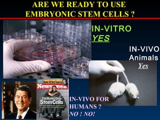 ARE WE READY TO USE  EMBRYONIC STEM CELLS ? IN-VITRO YES IN-VIVO Animals Yes IN-VIVO FOR HUMANS ? NO ! NO! 