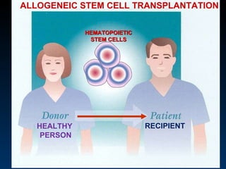 ALLOGENEIC STEM CELL TRANSPLANTATION RECIPIENT HEALTHY  PERSON HEMATOPOIETIC STEM CELLS 