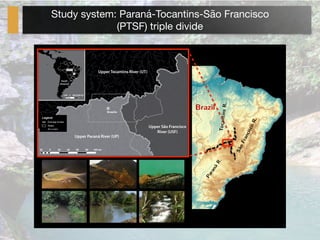 Study system: Paraná-Tocantins-São Francisco 

(PTSF) triple divide
Paraná
R.
SãoFranciscoR.
TocantinsR.
Brazil
 